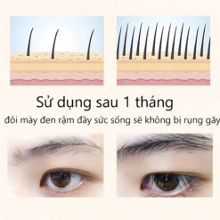 7286f3754d729b2cc263