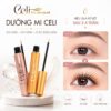 Bộ dưỡng mi Celi ngày và đêm chính hãng 3 2aOboQkYwZoGIv68s2Qk9inmFMGDDrXave9SccIS